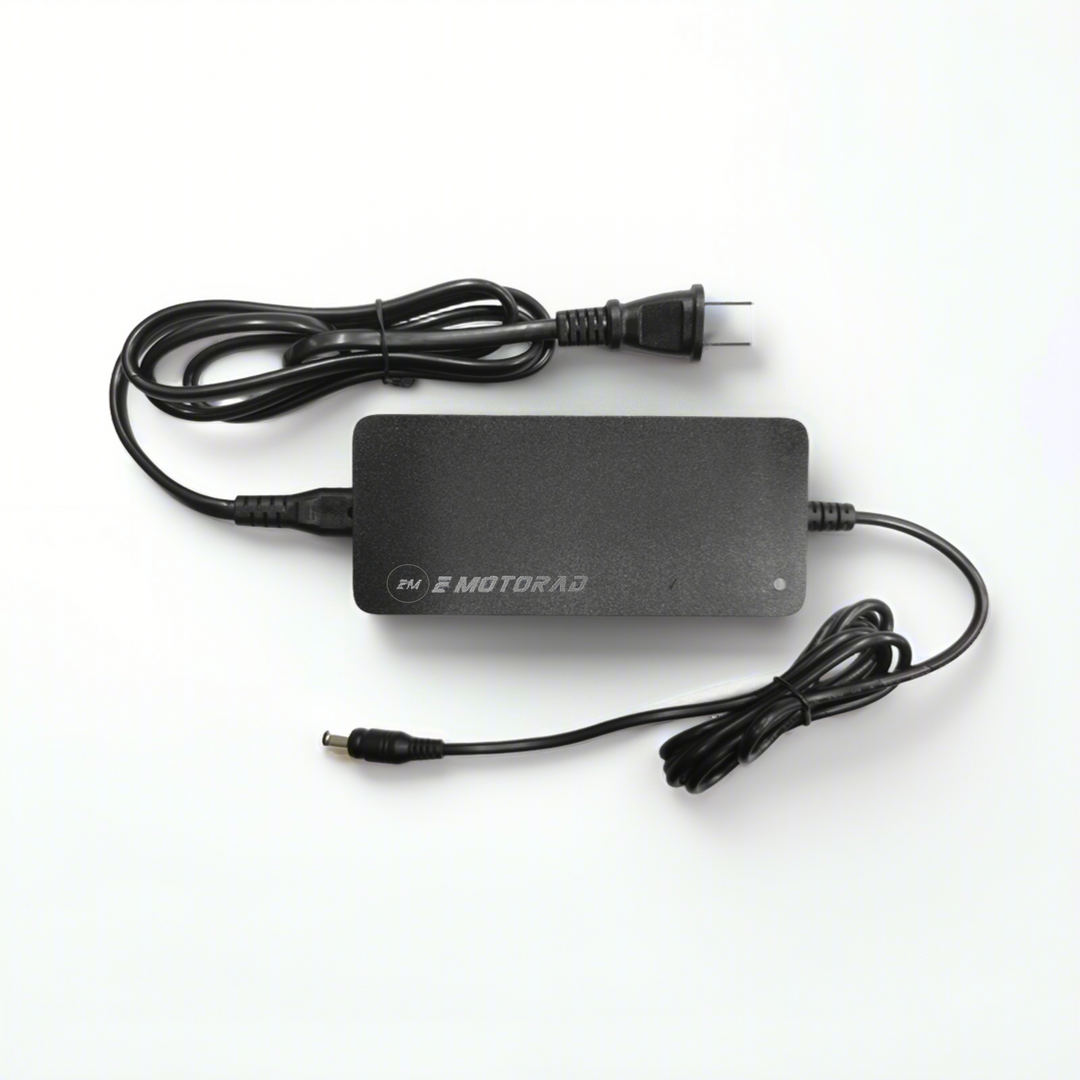 充電器 – EMOTORAD JAPAN